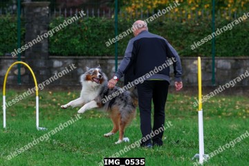 IMG_0535.jpg