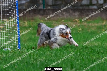 IMG_0559.jpg
