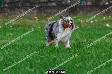 IMG_0566.jpg