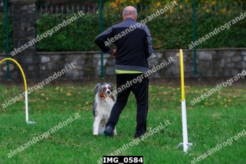 IMG_0584.jpg