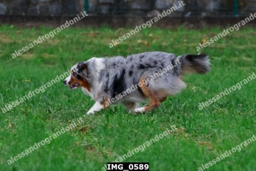 IMG_0589.jpg