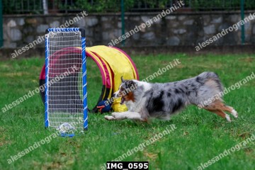 IMG_0595.jpg