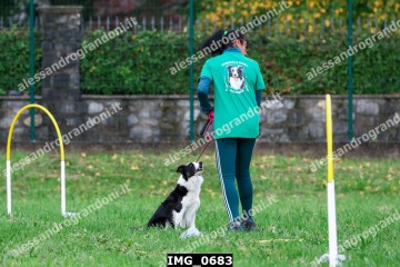 IMG_0683.jpg