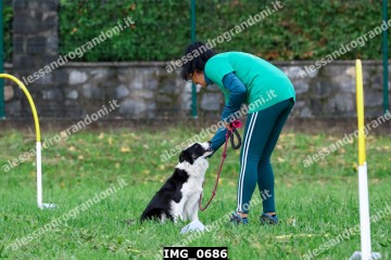 IMG_0686.jpg