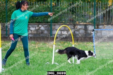 IMG_0699.jpg