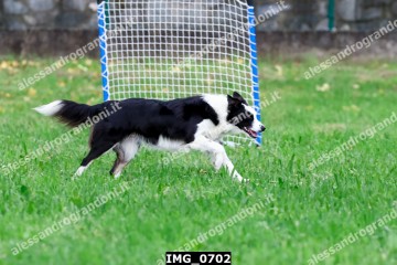 IMG_0702.jpg
