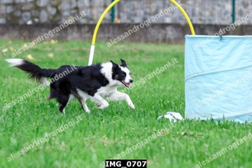 IMG_0707.jpg