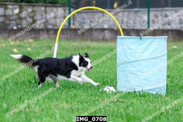 IMG_0708.jpg