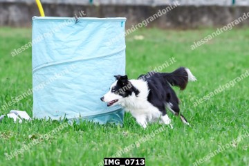 IMG_0713.jpg