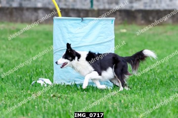 IMG_0717.jpg