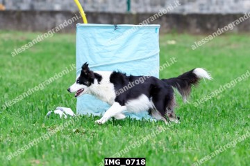 IMG_0718.jpg