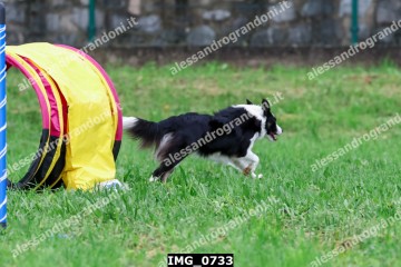 IMG_0733.jpg