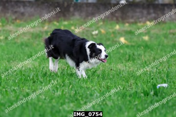 IMG_0754.jpg