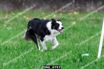 IMG_0757.jpg