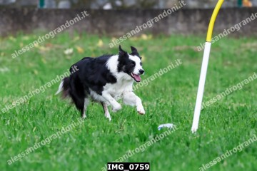 IMG_0759.jpg