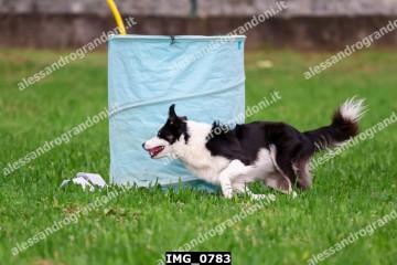 IMG_0783.jpg