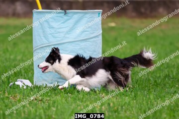 IMG_0784.jpg