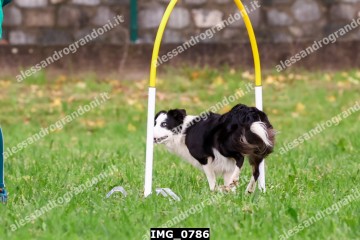 IMG_0786.jpg