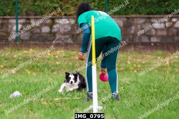 IMG_0795.jpg