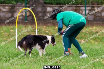 IMG_0816.jpg