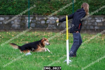 IMG_0827.jpg