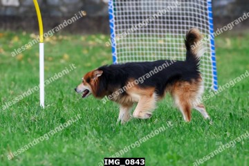 IMG_0843.jpg