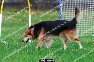 IMG_0845.jpg