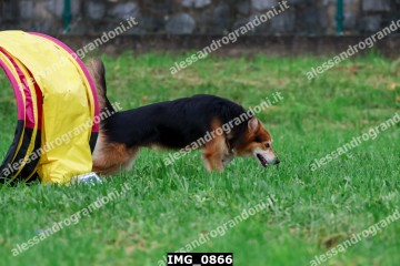 IMG_0866.jpg
