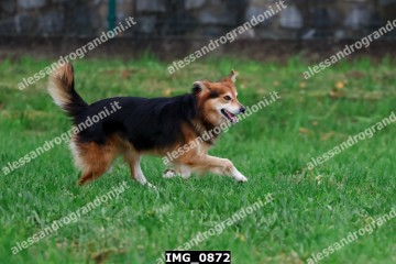 IMG_0872.jpg