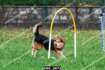 IMG_0873.jpg