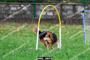 IMG_0876.jpg