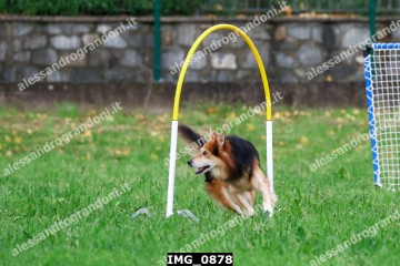 IMG_0878.jpg