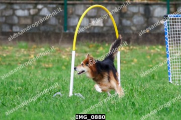 IMG_0880.jpg