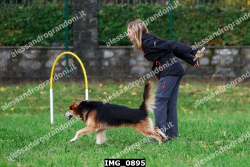 IMG_0895.jpg
