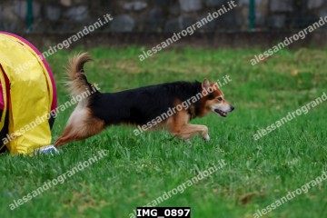 IMG_0897.jpg