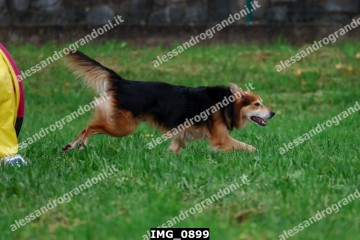 IMG_0899.jpg