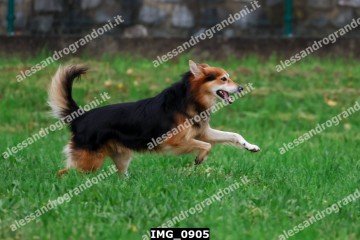 IMG_0905.jpg