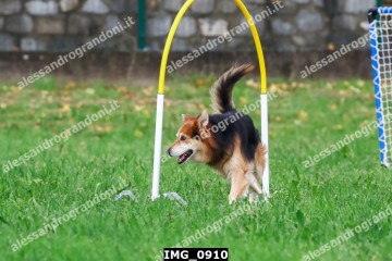 IMG_0910.jpg