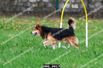 IMG_0917.jpg