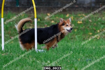 IMG_0923.jpg