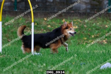 IMG_0924.jpg