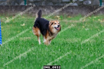 IMG_0932.jpg