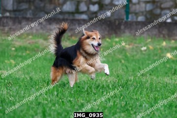 IMG_0935.jpg