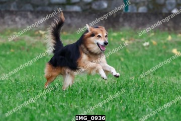 IMG_0936.jpg