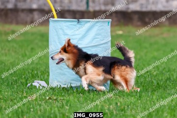 IMG_0955.jpg