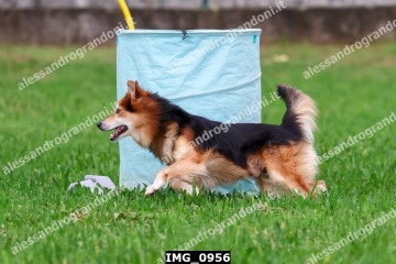 IMG_0956.jpg