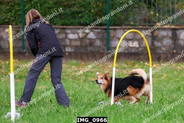IMG_0966.jpg
