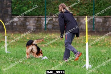 IMG_0979.jpg