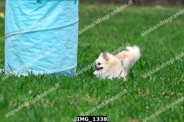 IMG_1338.jpg