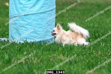 IMG_1343.jpg